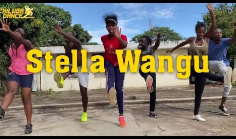 Stella Wangu Sparks Hilarious Memes: The Journey to JKIA with Freshly Mwamburi