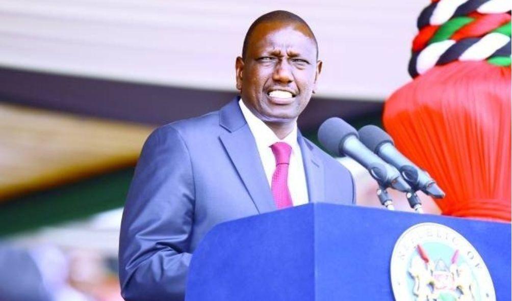 Ruto Axes 23 Kenya Forest Staff Amid Corruption Probe