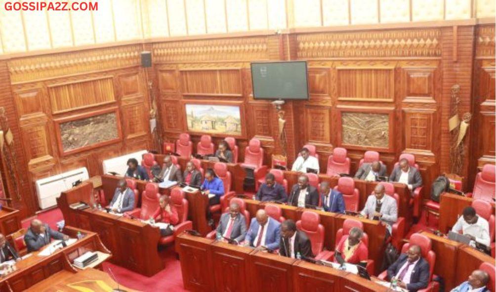 Kenya Kwanza: MPs Stage Mid-Session Walkout