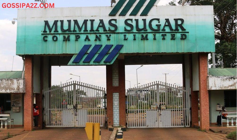 Lawyer in Mumias Sugar case fears for her life