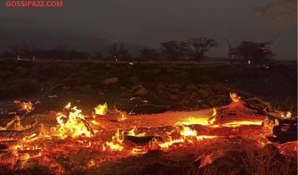 Hawaii's Deadliest: 67 Perish in Devastating Fires