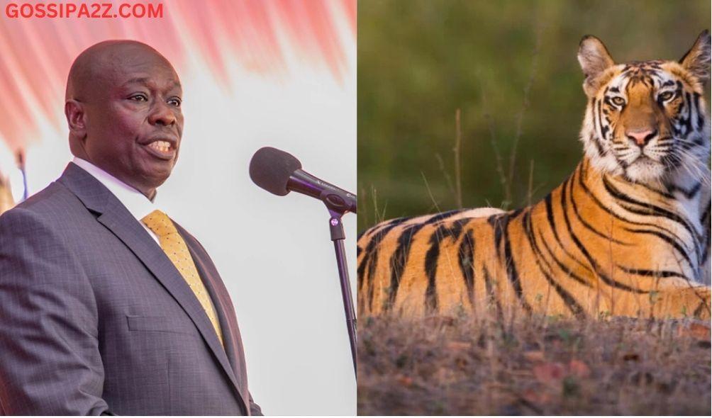 Kenyans React After DP Gachagua Says Kenya Has Tigers