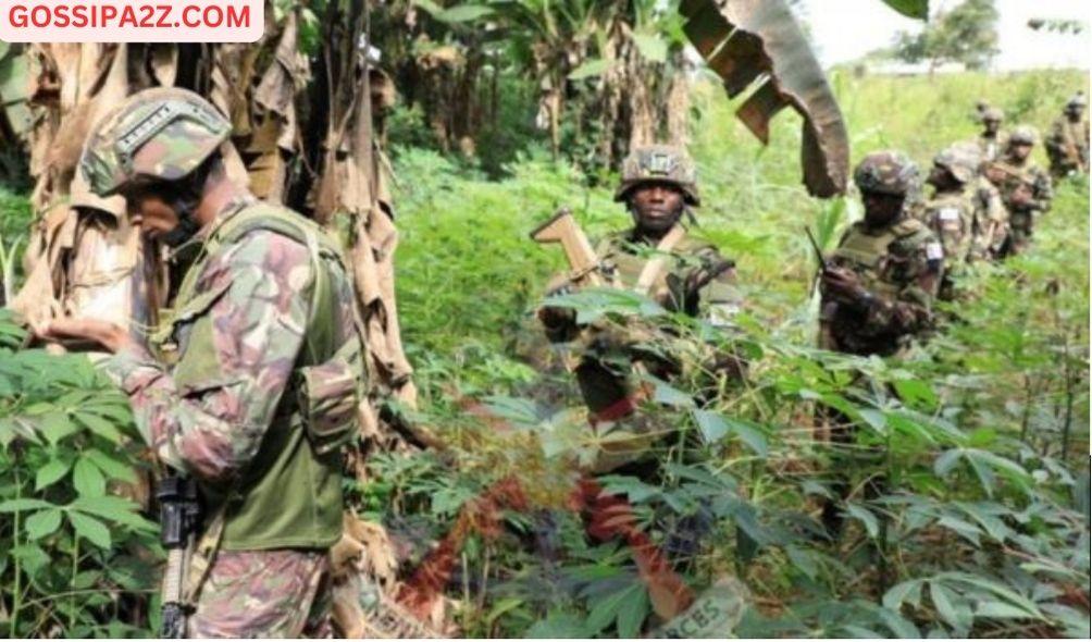 Kenyan Troops Team Up with Brazilian Army for Historic Jungle Training