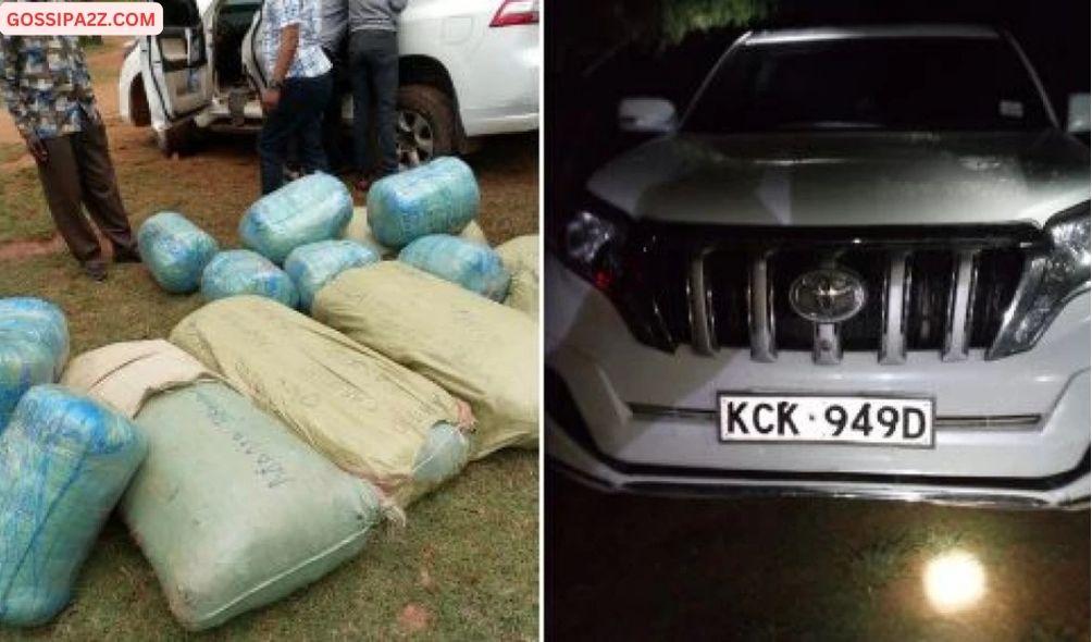 Toyota Prado Intercepted Ferrying 379 Kilos Of Bhang Worth Ksh.11M