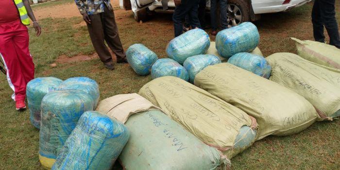 Police Bust Ongata Rongai Church for Selling Bhang During Services