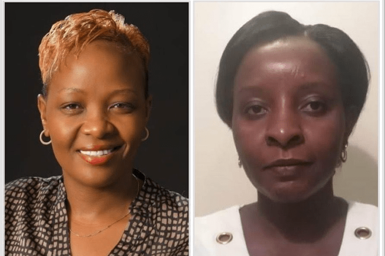 Women dominate as UDA makes changes in Nairobi assembly