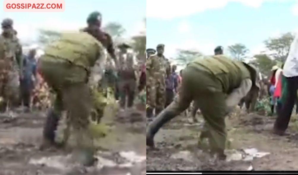 Panic, Laughter At President Ruto's Near Fall As He Planted Trees