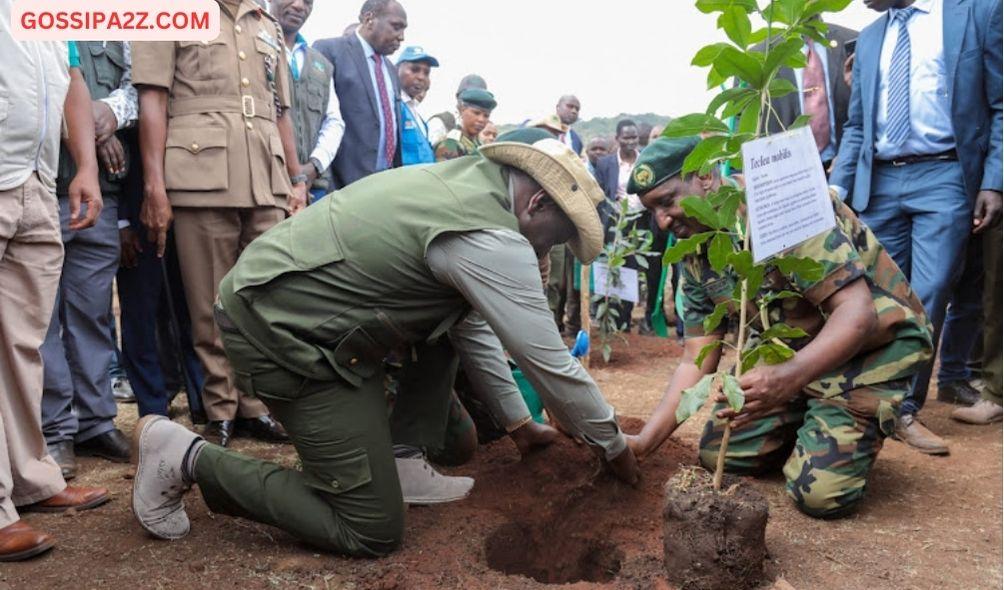 Millions Spent as Kenyan Ministers Take to the Skies for Tree Planting Day