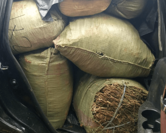 Kisii Police Seize 588kgs of Suspected Bhang, Nab 5 in Major Drug Bust