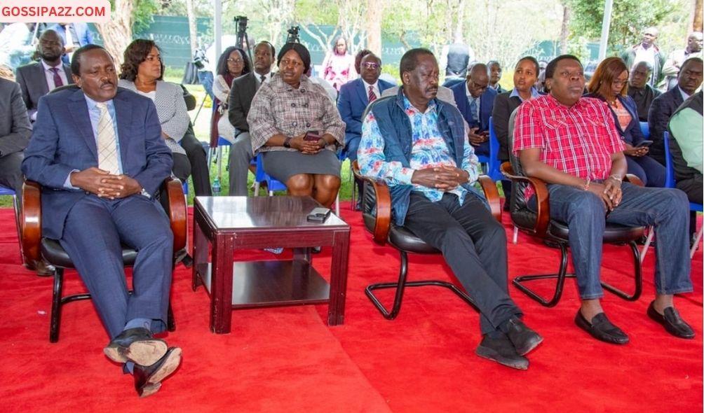 Wiper party leader Kalonzo Musyoka (left), DAP-K’s Eugene Wamalwa(right) and Azimio leader Raila Odinga.