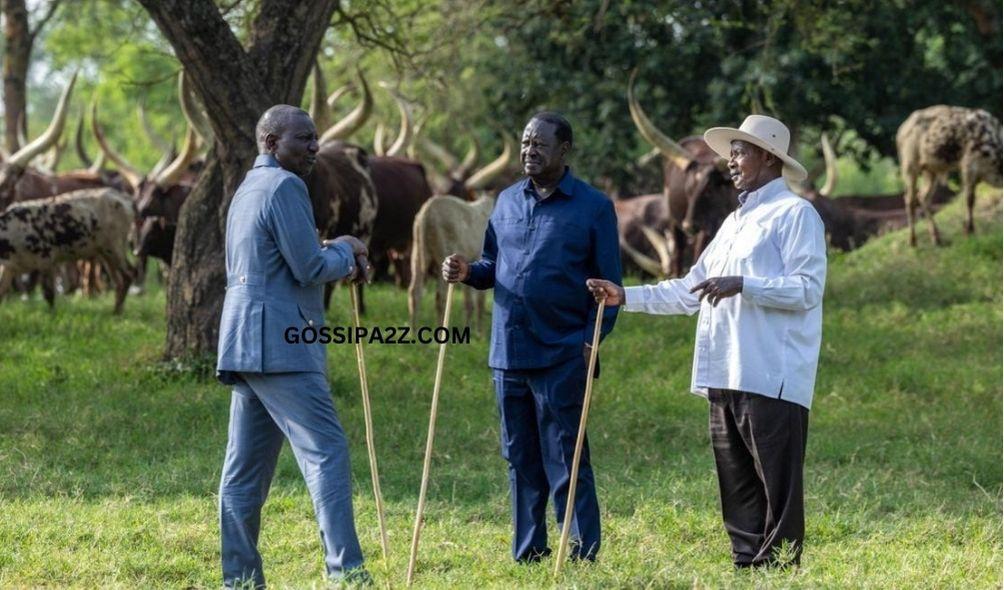 Kenyan President William Ruto (left), Kenya's opposition leader Raila Odinga and Ugandan President Yoweri Museveni at Kisozi, Uganda on February 26, 2024