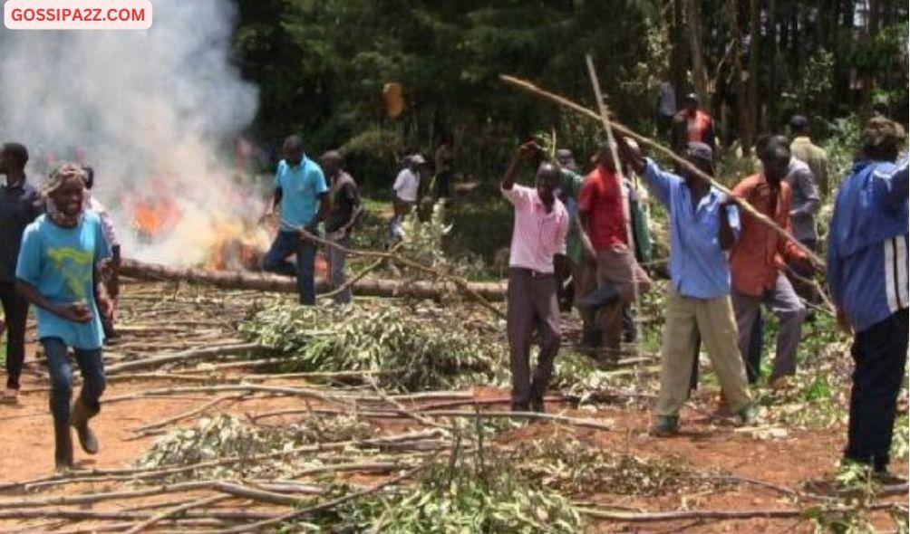 Angry tea farmers stage riots against year’s low bonus