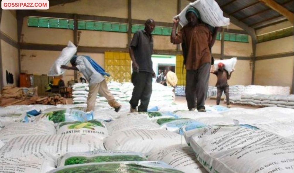 Subsidised fertiliser offloaded at a depot in Homabay County on October 6, 2022.