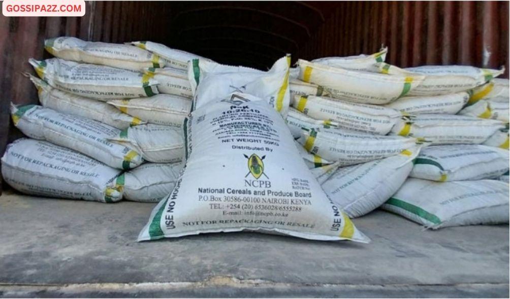 Some of the 560 bags of substandard fertiliser that were seized at the National Cereals and Produce Board depot in Molo, Nakuru County on March 23, 2024.