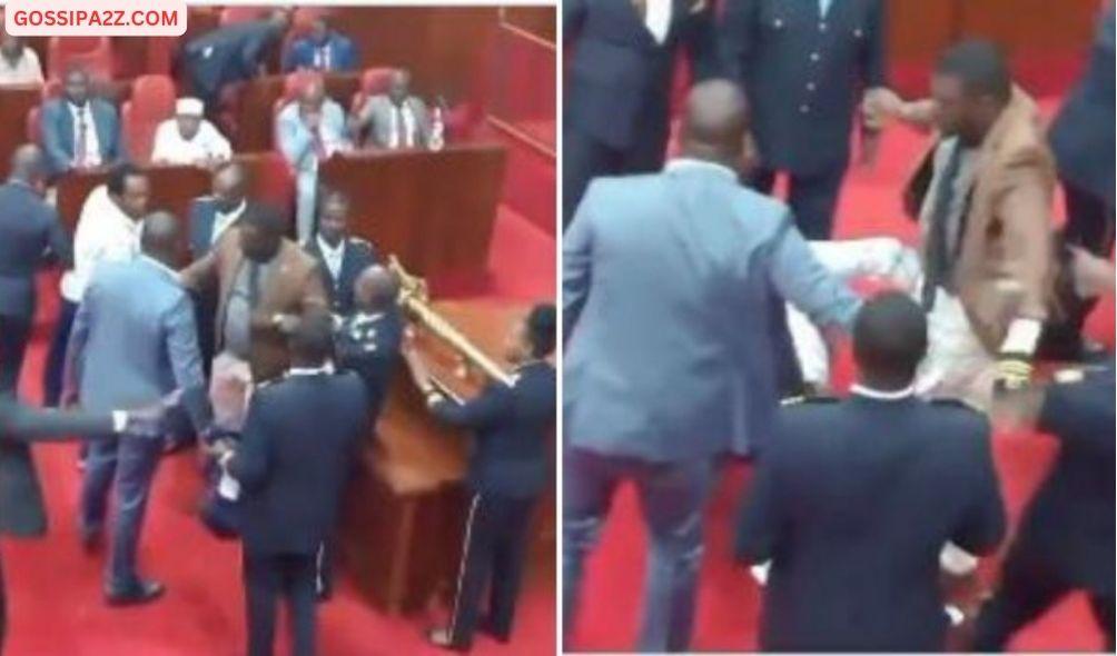 Nairobi Members of the County Assembly fight each other on April 23, 2024