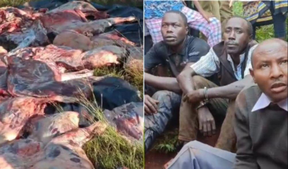 Four Nabbed Slaughtering 30 Donkeys, Admit To Selling Meat At Nairobi's Burma Market