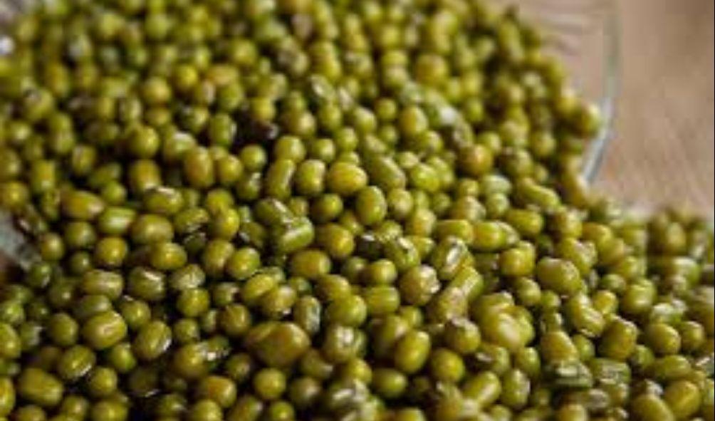 Mung Beans Bill 2022: Kenyans Face KSh 1m Fine, Imprisonment for Growing Ndengu without Licence